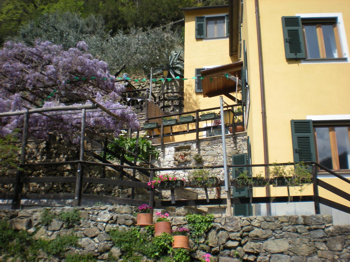 Agriturismo Il Sogno Lorsica Dış mekan fotoğraf